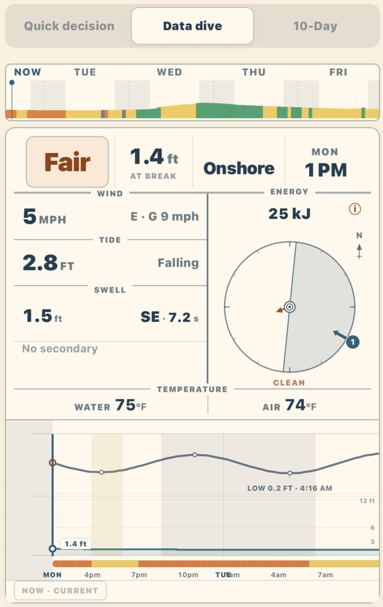 Data Dive view showing detailed surf conditions without naming the break