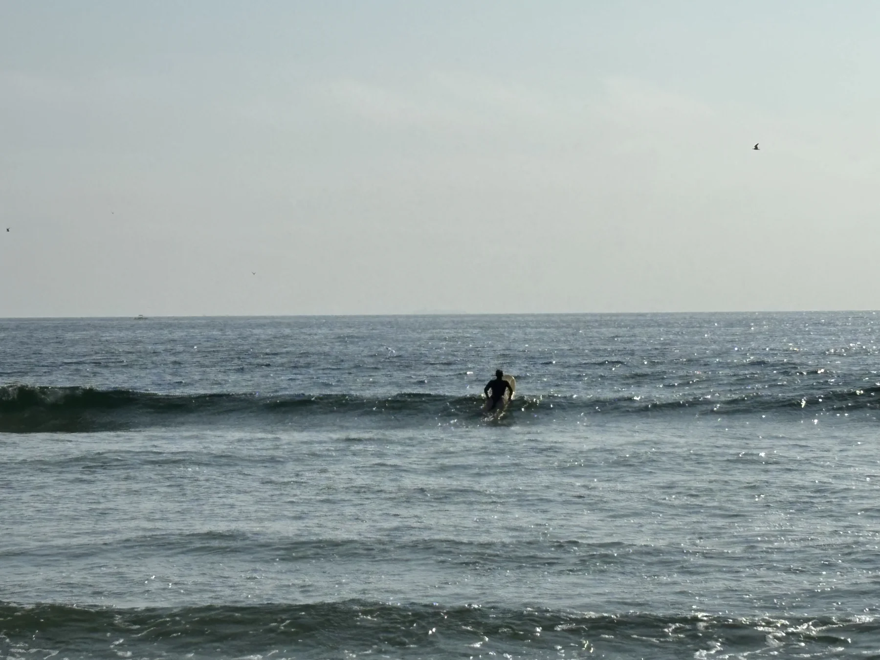 A lone surfer riding a small morning wave